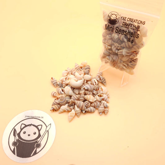 Mini Seashells - 15g bag - bigger shells