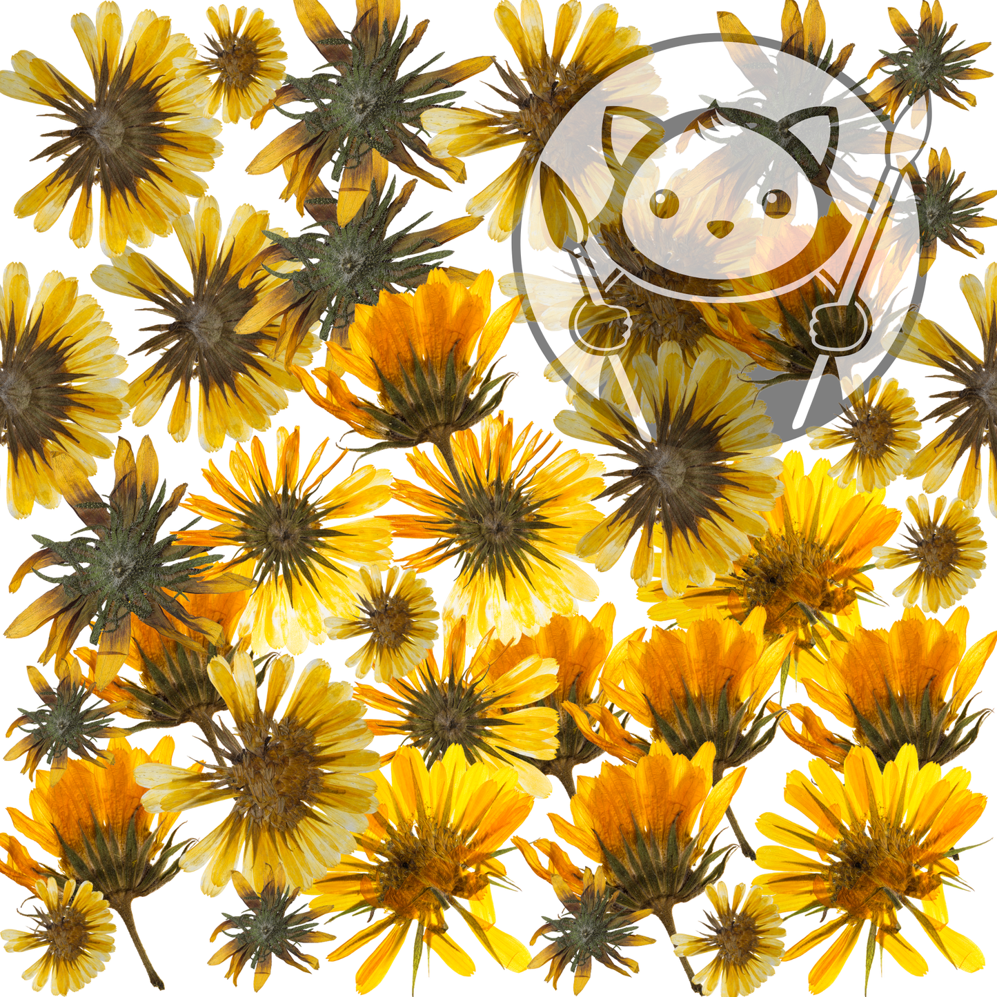 Next Level Sheet - Printed Acrylic and Plywood - Camomile Flowers Pattern