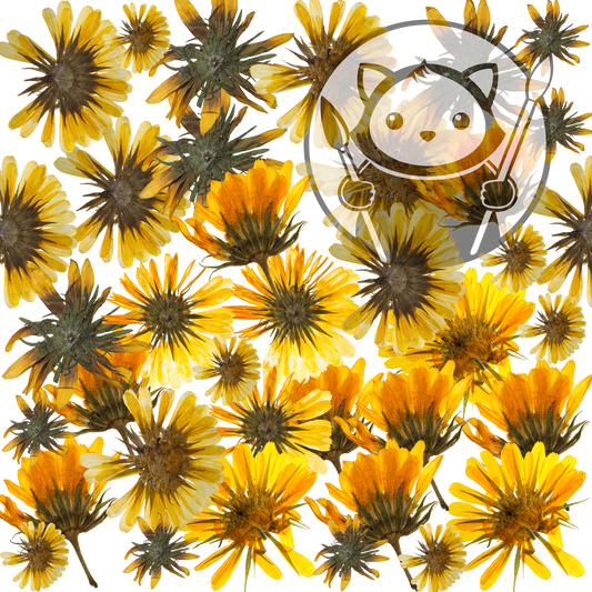 Next Level Sheet - Printed Acrylic and Plywood - Camomile Flowers Pattern