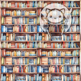 Pastel Bookshelves - Next Level Sheet