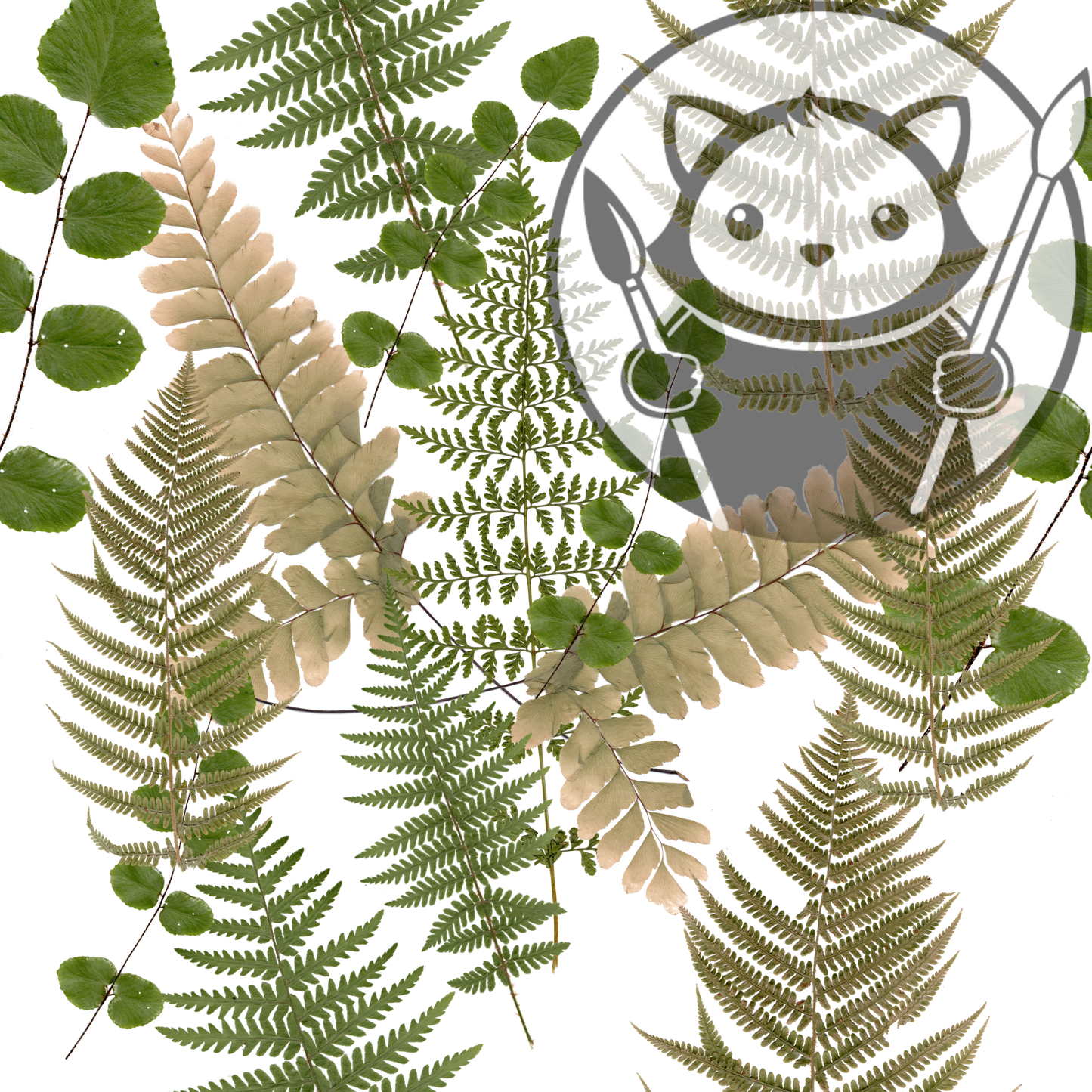 Preserved Ferns - Next Level Sheet