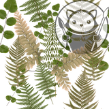 Preserved Ferns - Next Level Sheet