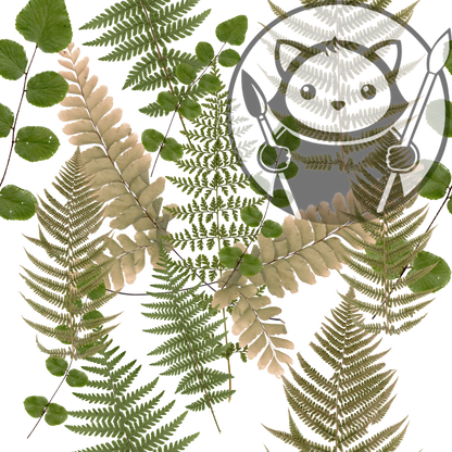 Preserved Ferns - Next Level Sheet