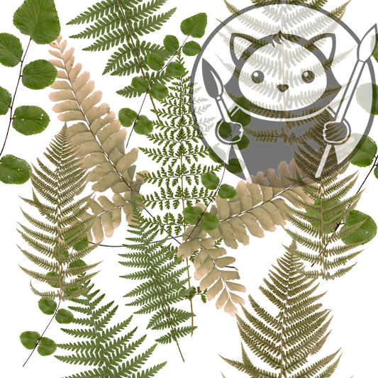Preserved Ferns - Next Level Sheet