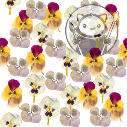 Next Level Sheet - Printed Acrylic and Plywood - Pretty Pressed Flowers Pattern