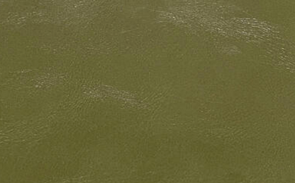 Olive - Engraves Black - Glossy Leatherette Sheet – PU Material