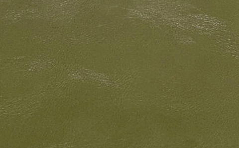 Olive - Engraves Black - Glossy Leatherette Sheet – PU Material
