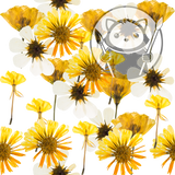 Yellow Flowers Garden - Next Level Sheet