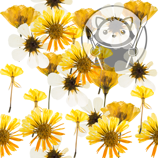 Next Level Sheet - Printed Acrylic and Plywood - Yellow Flowers Garden Pattern