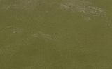 Olive - Engraves Black - Glossy Leatherette Sheet – PU Material